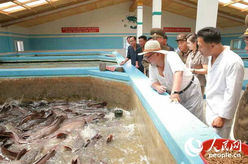 金正恩偕夫人視察鲇魚(yú)廠(chǎng)點(diǎn)贊品質(zhì)，稱(chēng)贊鲇魚(yú)、肉類(lèi)令人稱(chēng)贊